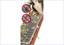 Lichtschachtabdeckung Alu 50 x 125 cm 4er Set