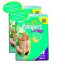 Pampers Baby Dry - Maxi Plus 9 bis 20 kg