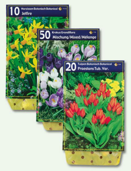 Blumenzwiebeln von Lidl ansehen!