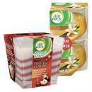 Airwick Premium-Duftkerzen 1 er oder Duftkerzen Duopack