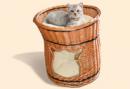 Katzen-Wohnturm