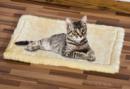 Katzen-Kratzteppich
