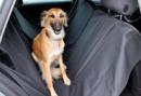 Kfz-Hundedecke