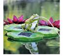 Solarinsel &acute;&acute;&acute;&acute;Frosch&acute;&acute;