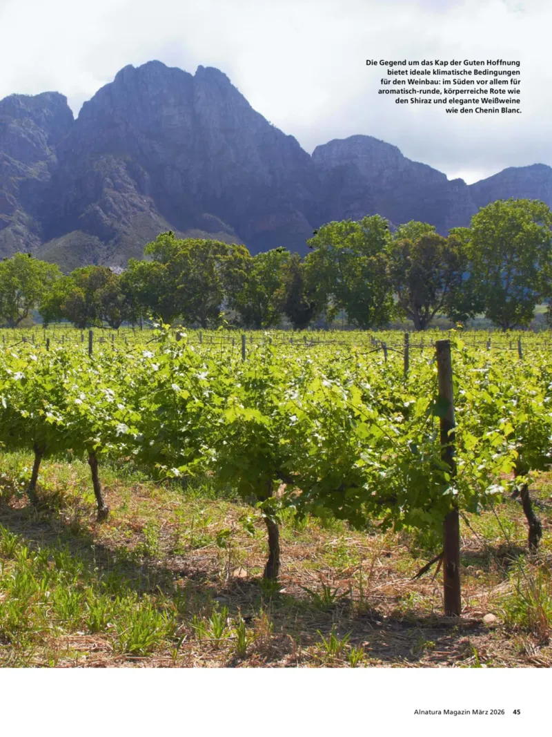 Alnatura Prospekt vom 01.03.2026, Seite 45