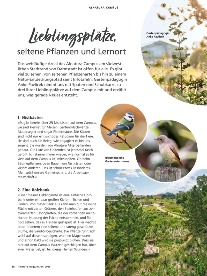 Alnatura Prospekt vom 01.06.2026, Seite 38