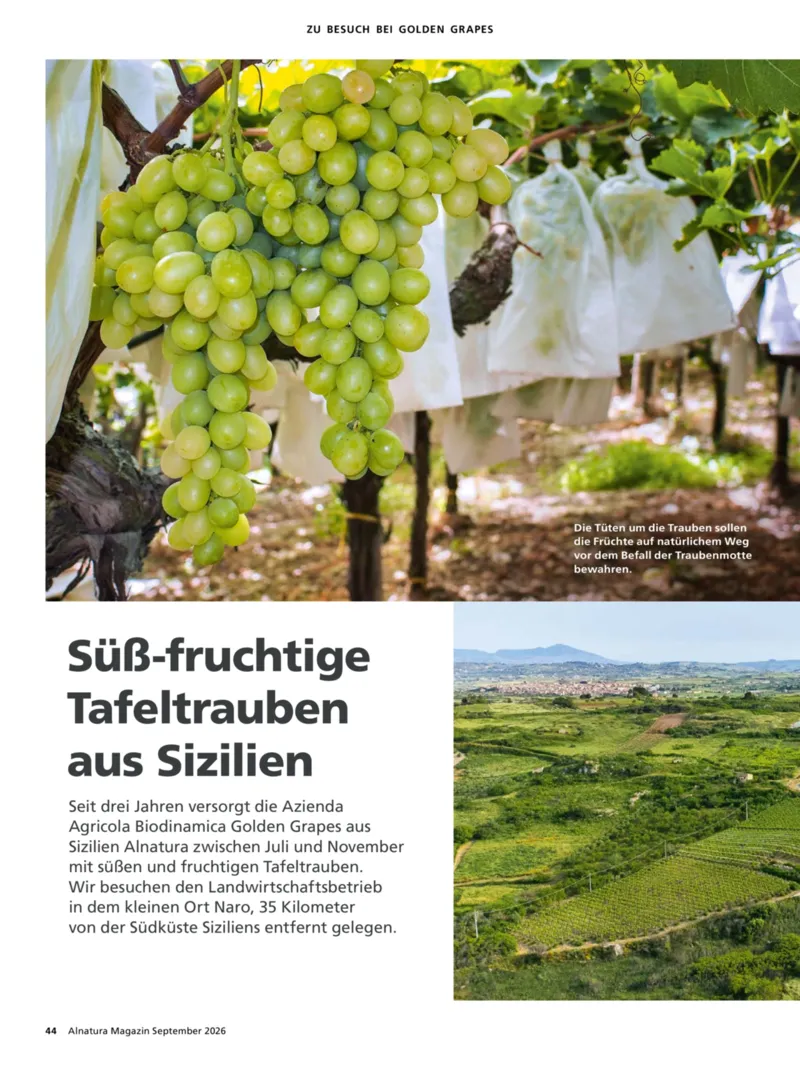 Alnatura Prospekt vom 01.09.2026, Seite 44