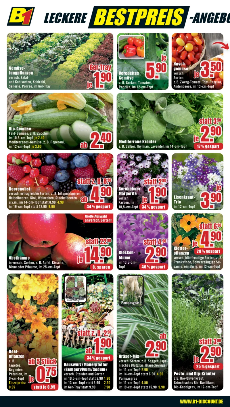 B1 Discount Prospekt vom 11.04.2026, Seite 4