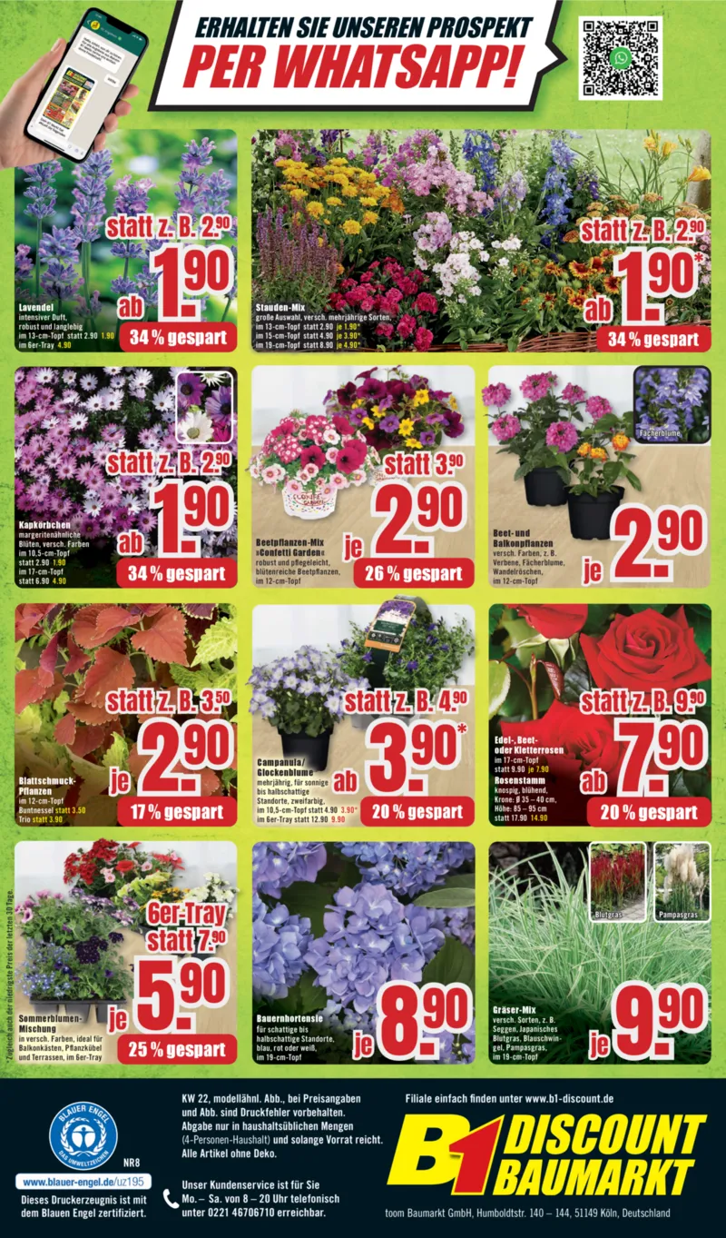 B1 Discount Prospekt vom 23.05.2026, Seite 12