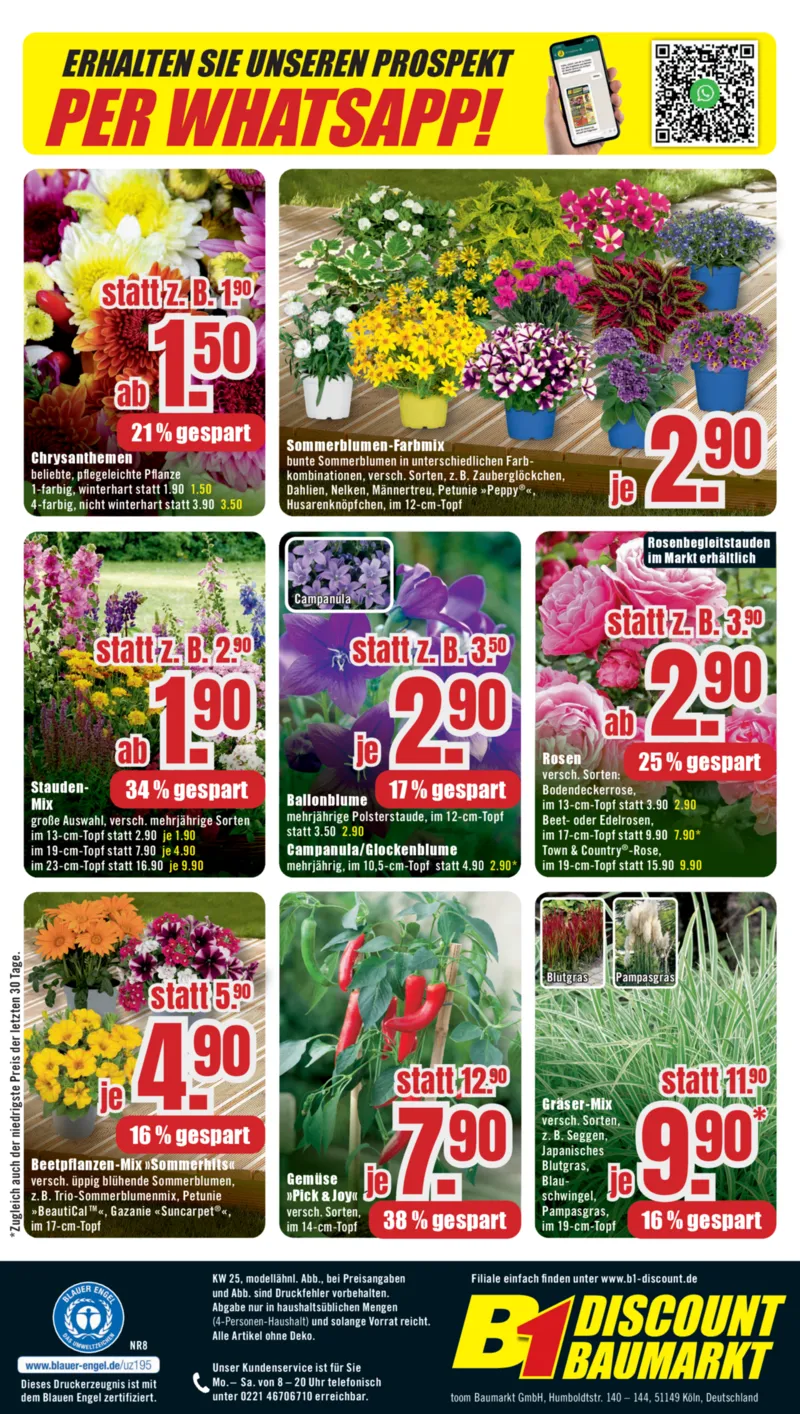 B1 Discount Prospekt vom 13.06.2026, Seite 8