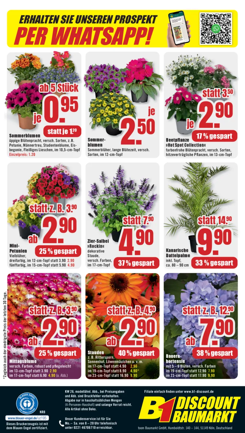 B1 Discount Prospekt vom 20.06.2026, Seite 8