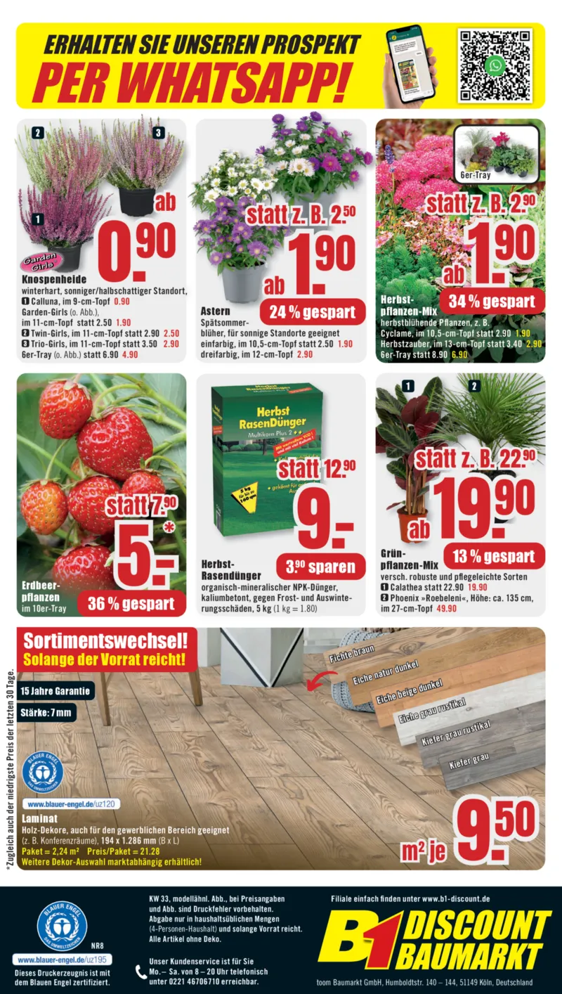 B1 Discount Prospekt vom 08.08.2026, Seite 8