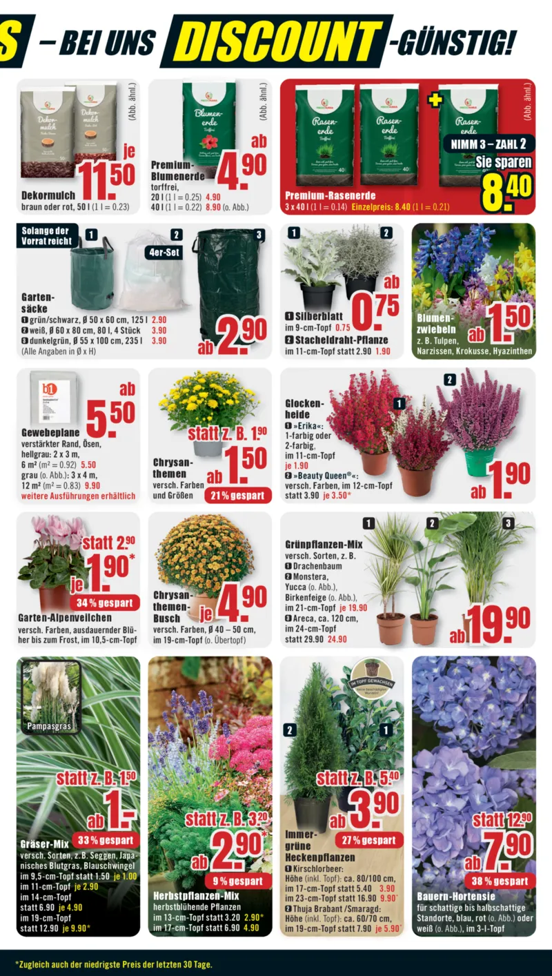 B1 Discount Prospekt vom 29.08.2026, Seite 7