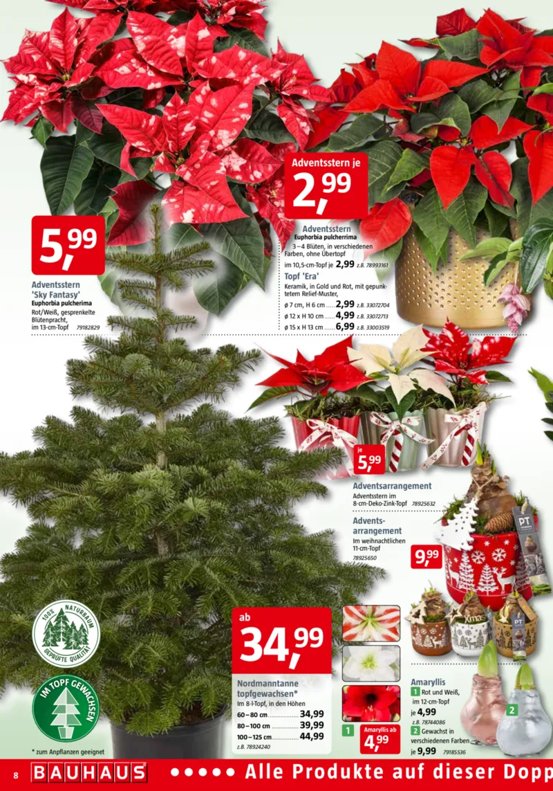 Bauhaus Prospekt vom 01.11.2025, Seite 8 Bauhaus Prospekt vom 01.11.2025, Seite 8