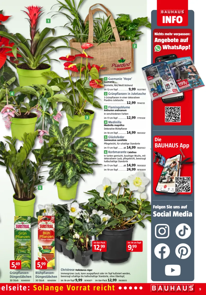 Bauhaus Prospekt vom 01.11.2025, Seite 9 Bauhaus Prospekt vom 01.11.2025, Seite 9