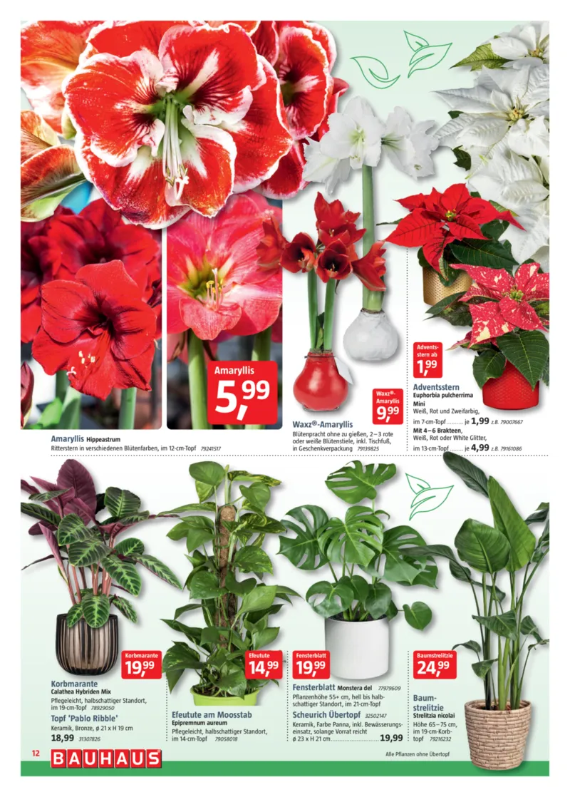 Bauhaus Prospekt vom 29.11.2025, Seite 12