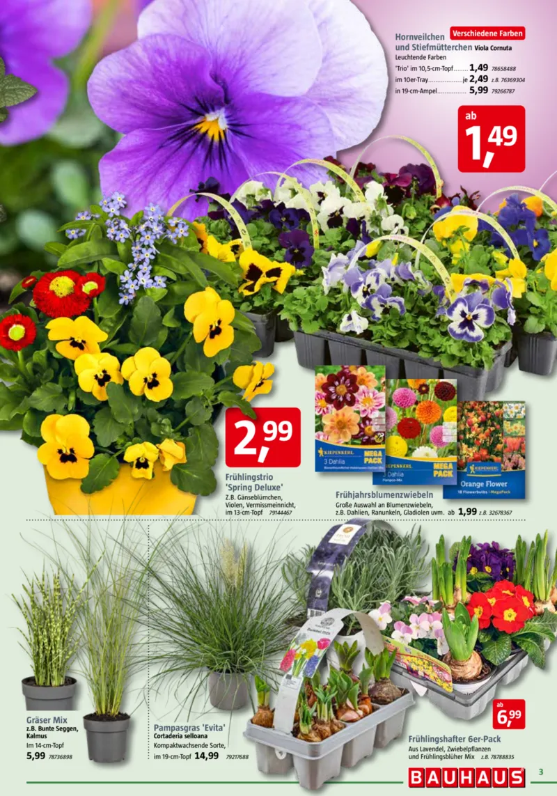 Bauhaus Prospekt vom 28.02.2026, Seite 3