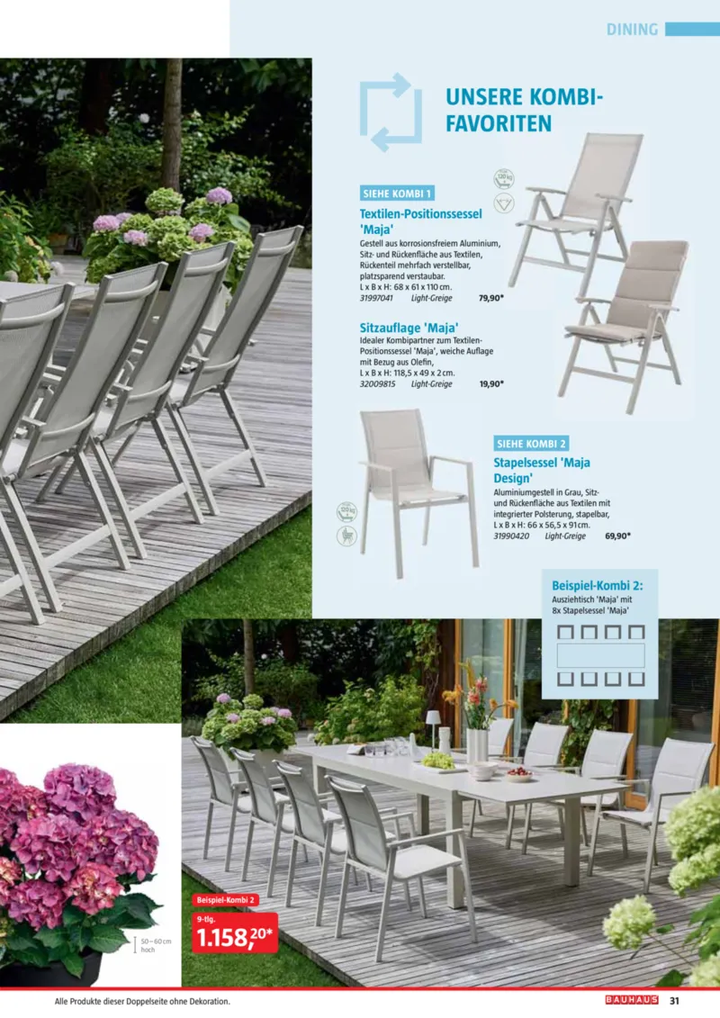 Bauhaus Prospekt vom 02.03.2026, Seite 31
