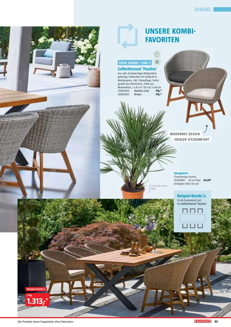 Bauhaus Prospekt vom 02.03.2026, Seite 43