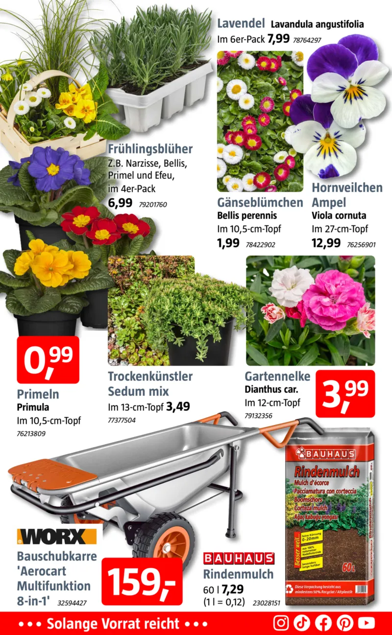 Bauhaus Prospekt vom 20.03.2026, Seite 2