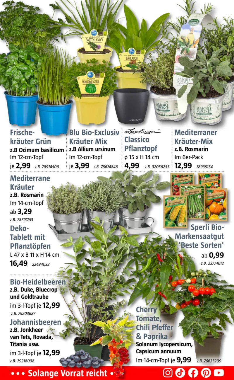 Bauhaus Prospekt vom 20.03.2026, Seite 3