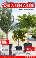 Bauhaus Prospekt vom 20.03.2026