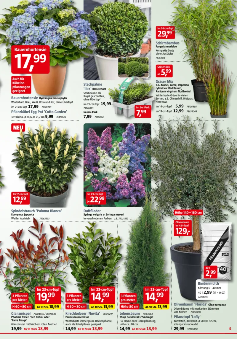 Bauhaus Prospekt vom 28.03.2026, Seite 5