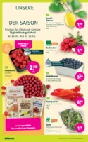 BioMarkt Prospekt vom 04.06.2025