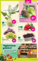 BioMarkt Prospekt vom 02.07.2025