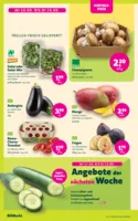 BioMarkt Prospekt vom 10.09.2025