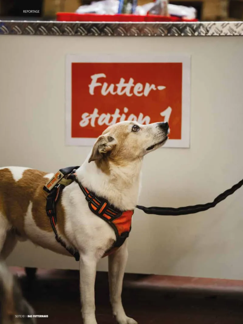 Das Futterhaus Prospekt vom 01.12.2025, Seite 10