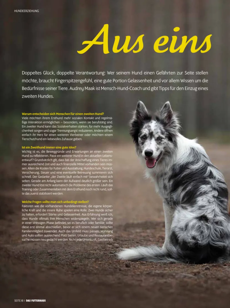 Das Futterhaus Prospekt vom 01.12.2025, Seite 18