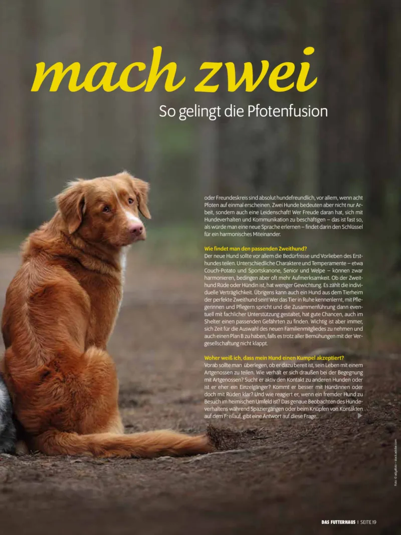 Das Futterhaus Prospekt vom 01.12.2025, Seite 19