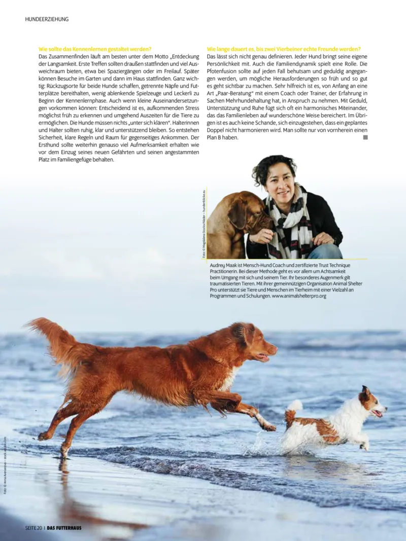 Das Futterhaus Prospekt vom 01.12.2025, Seite 20