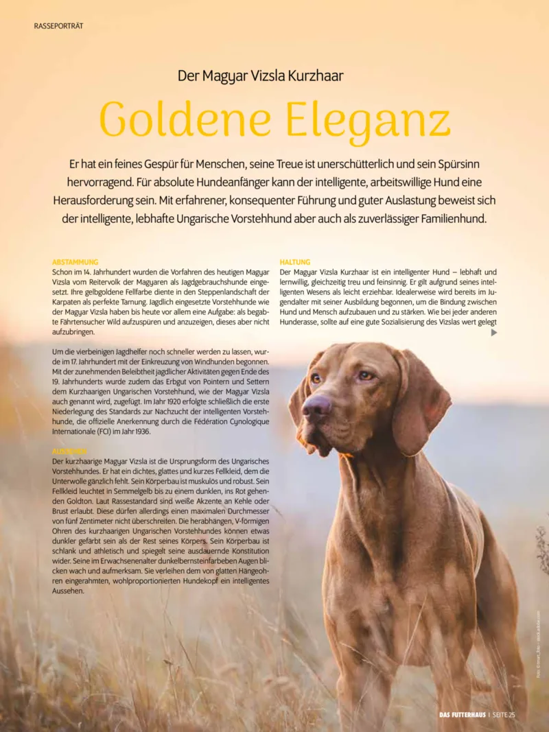 Das Futterhaus Prospekt vom 01.12.2025, Seite 25