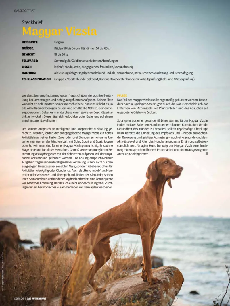 Das Futterhaus Prospekt vom 01.12.2025, Seite 26