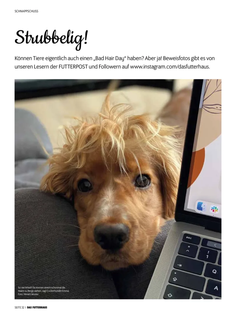 Das Futterhaus Prospekt vom 01.12.2025, Seite 32