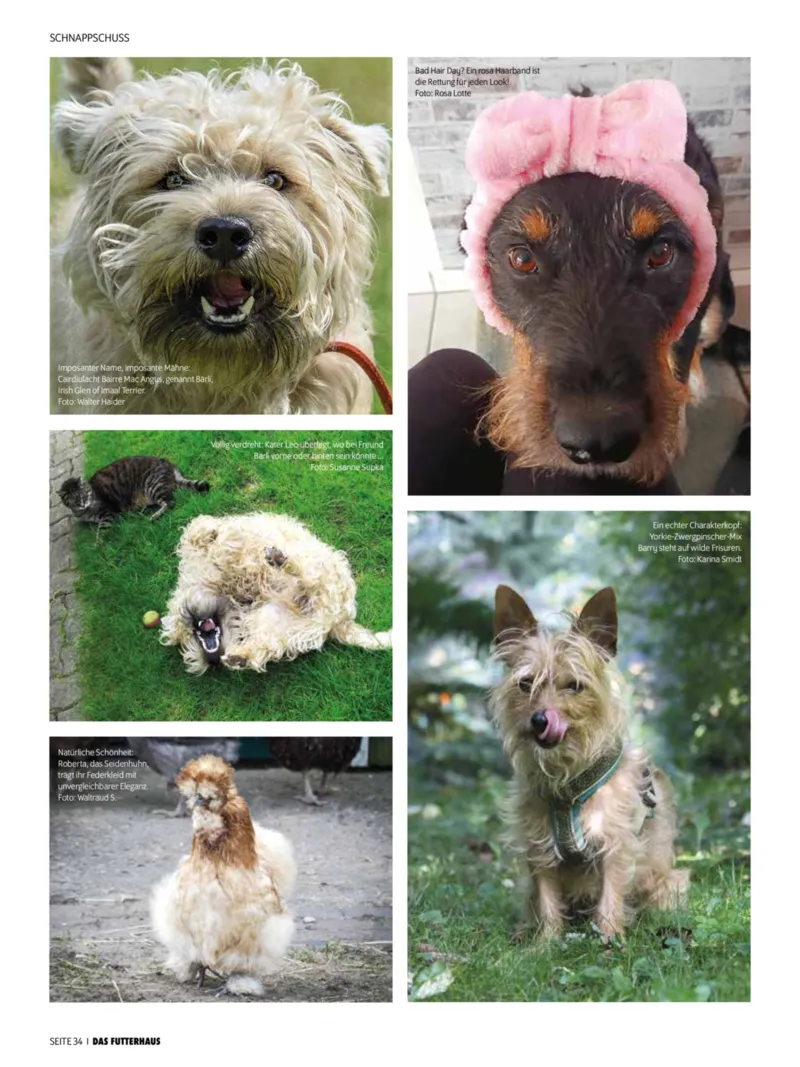 Das Futterhaus Prospekt vom 01.12.2025, Seite 34