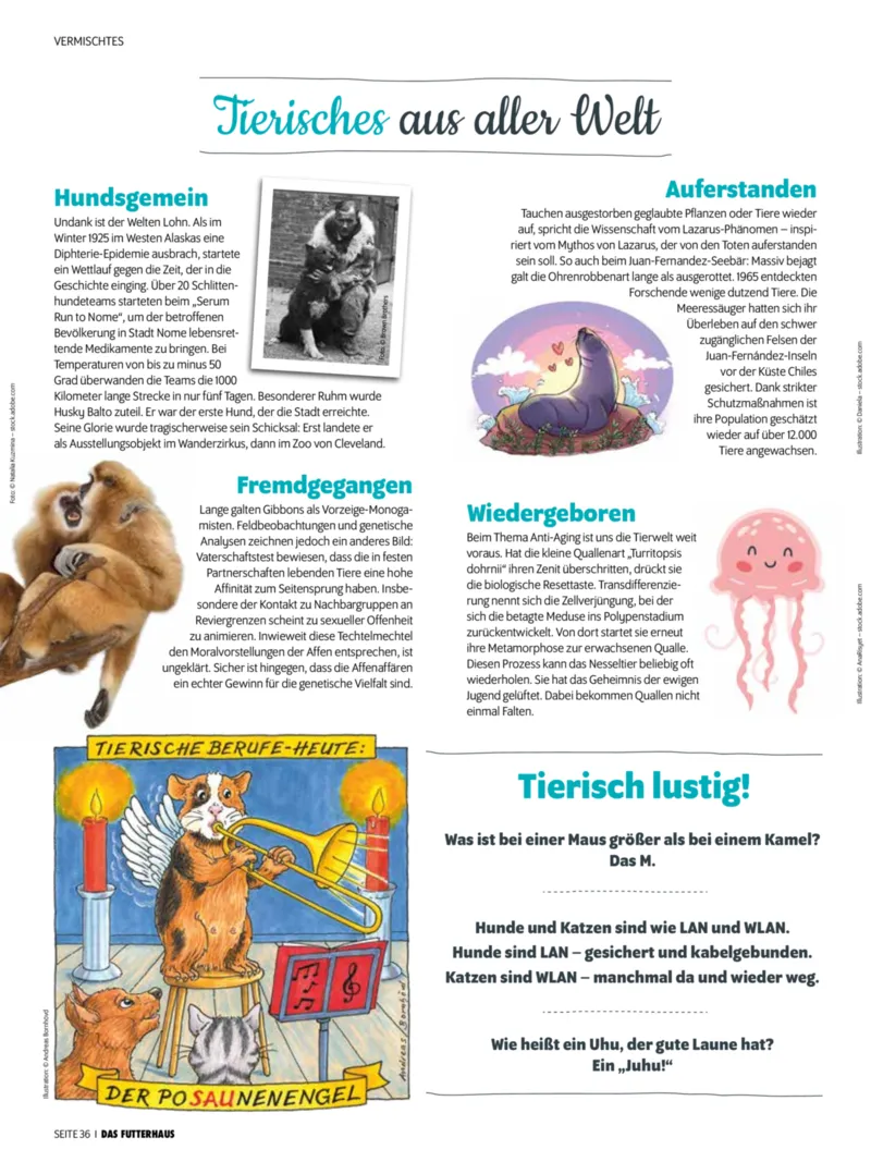 Das Futterhaus Prospekt vom 01.12.2025, Seite 36