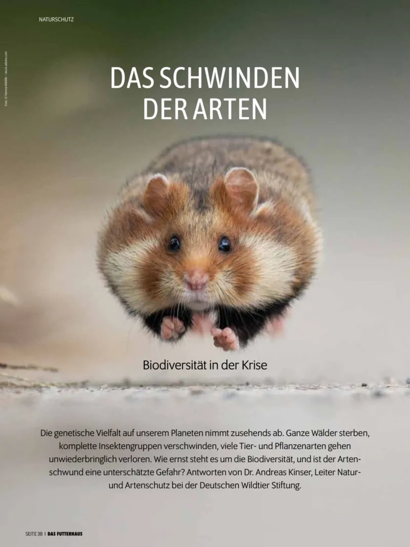 Das Futterhaus Prospekt vom 01.12.2025, Seite 38