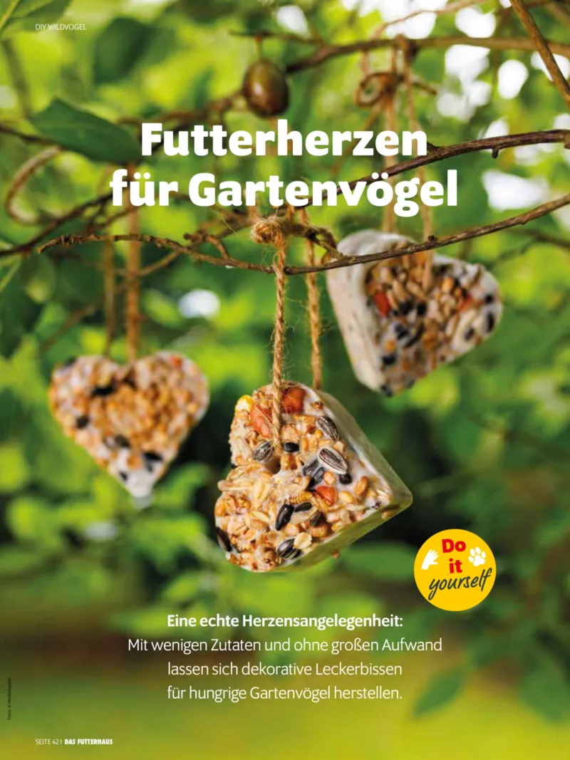 Das Futterhaus Prospekt vom 01.12.2025, Seite 42