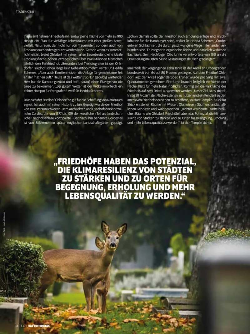 Das Futterhaus Prospekt vom 01.02.2026, Seite 10