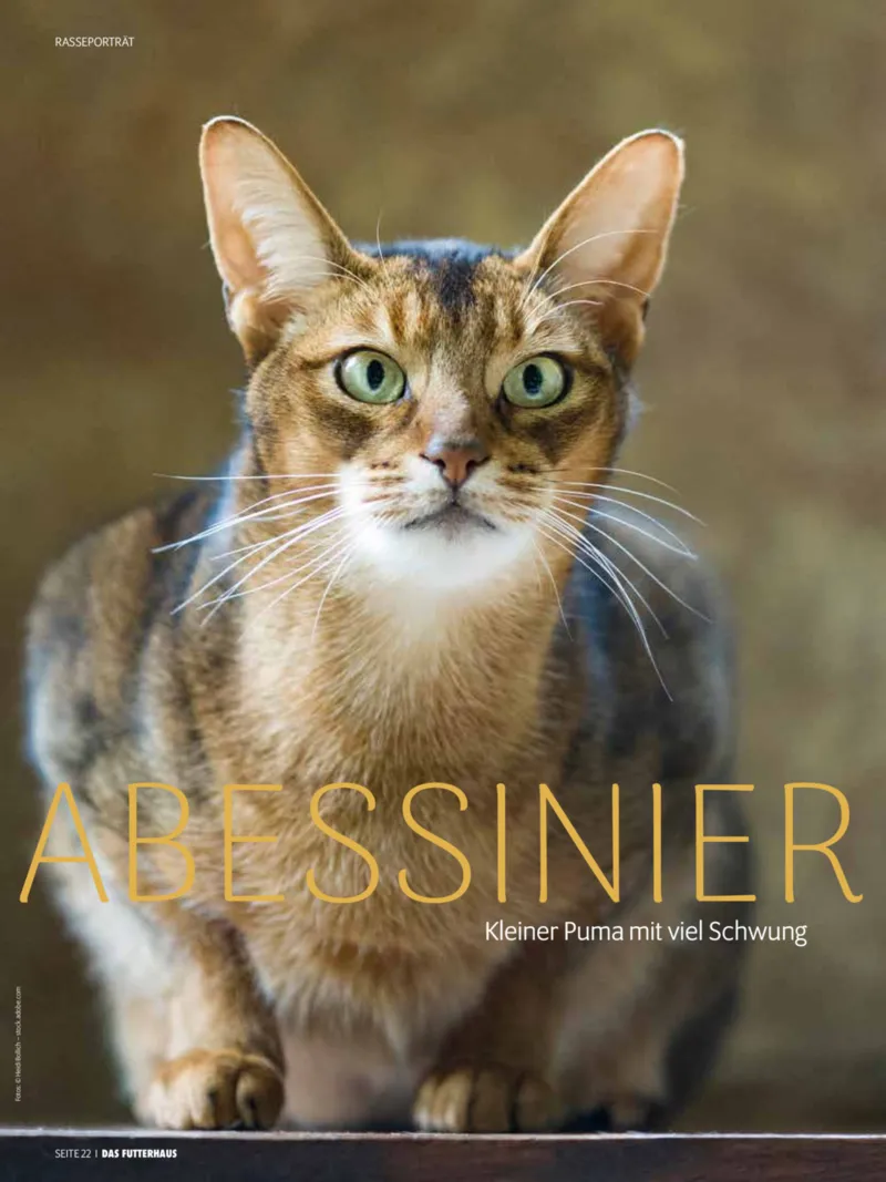 Das Futterhaus Prospekt vom 01.02.2026, Seite 22