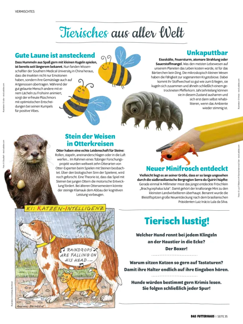 Das Futterhaus Prospekt vom 01.02.2026, Seite 35