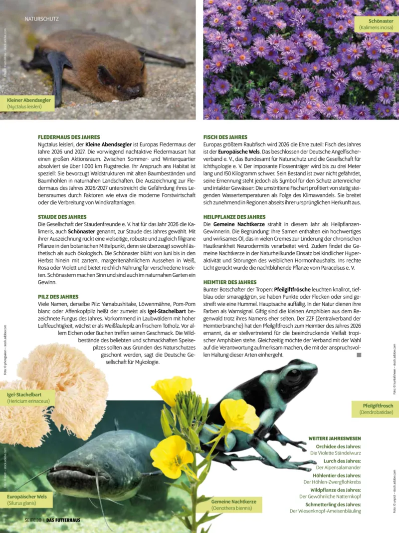Das Futterhaus Prospekt vom 01.02.2026, Seite 38