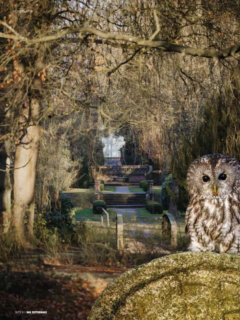 Das Futterhaus Prospekt vom 01.02.2026, Seite 6