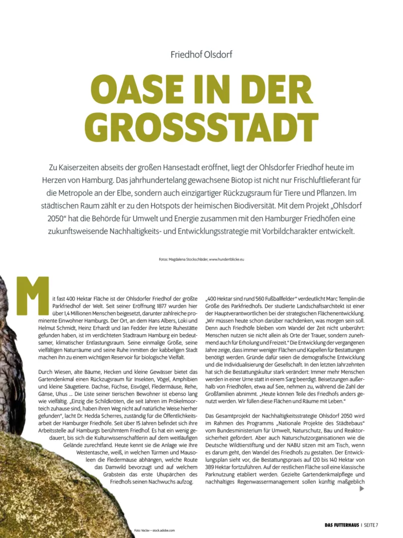 Das Futterhaus Prospekt vom 01.02.2026, Seite 7