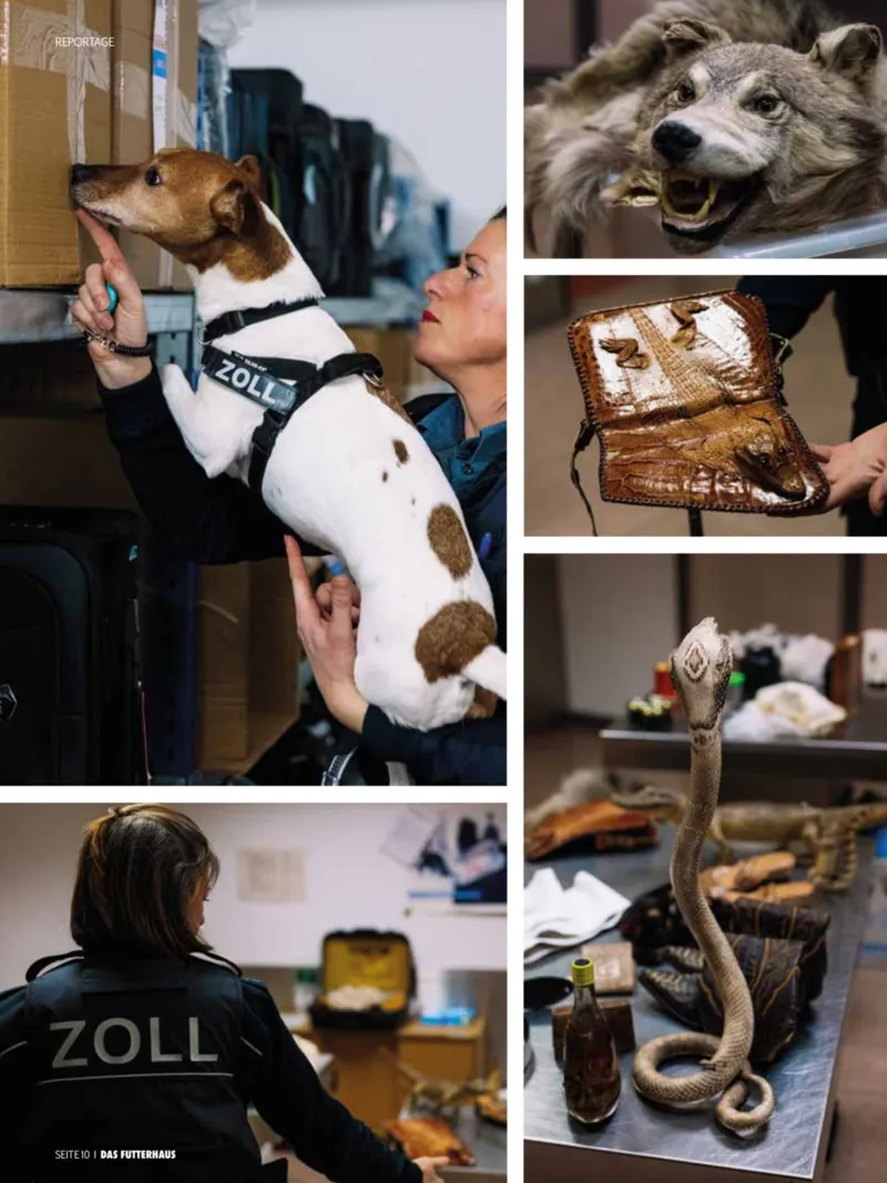 Das Futterhaus Prospekt vom 01.04.2026, Seite 10