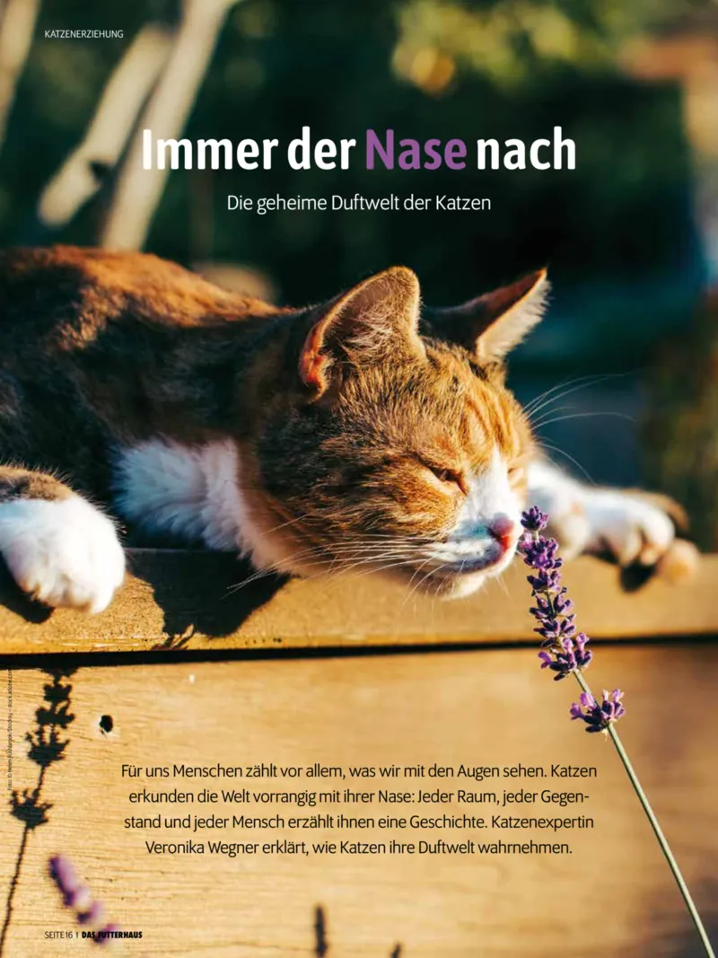 Das Futterhaus Prospekt vom 01.04.2026, Seite 16