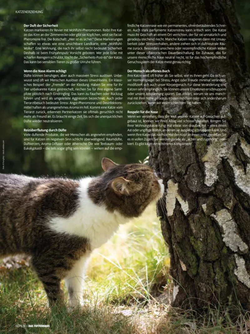 Das Futterhaus Prospekt vom 01.04.2026, Seite 18